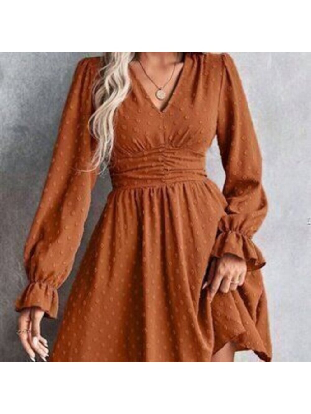 Casual Women's V-Neck swiss dot Long Sleeve Dress